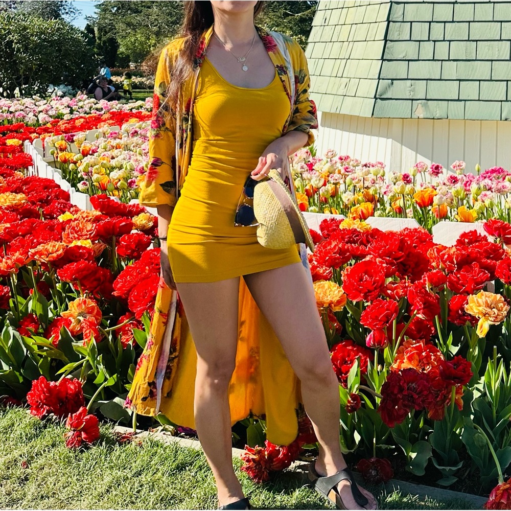 alice and olivia